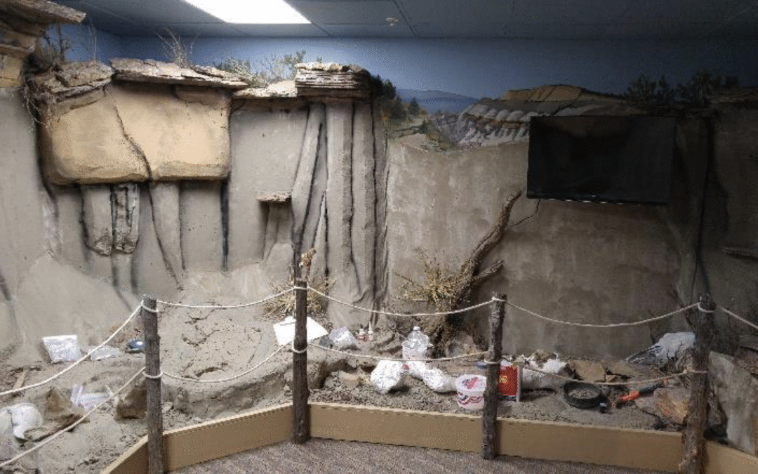 Summer 2017 Newsletter