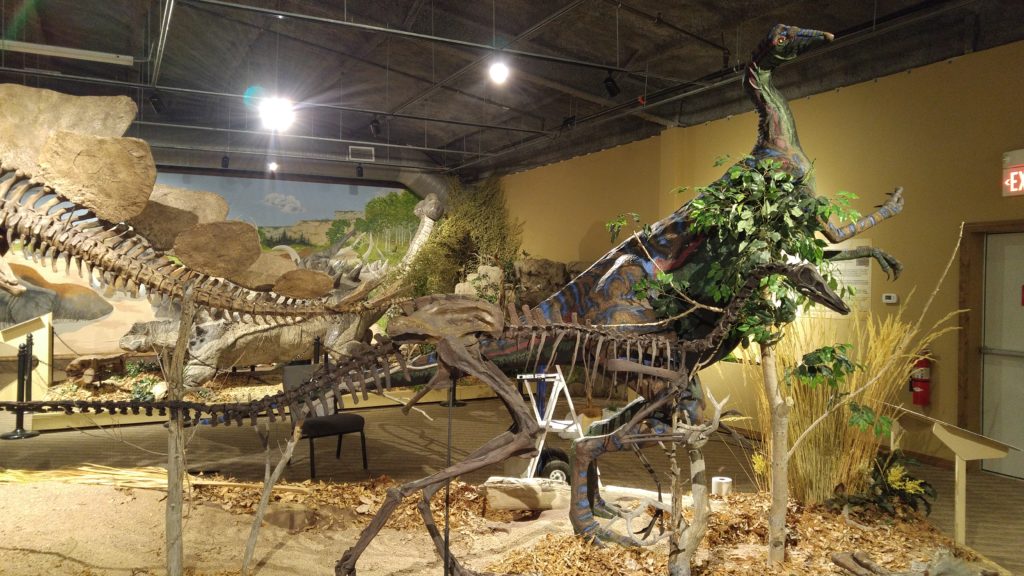 dinosaurland fossil museum