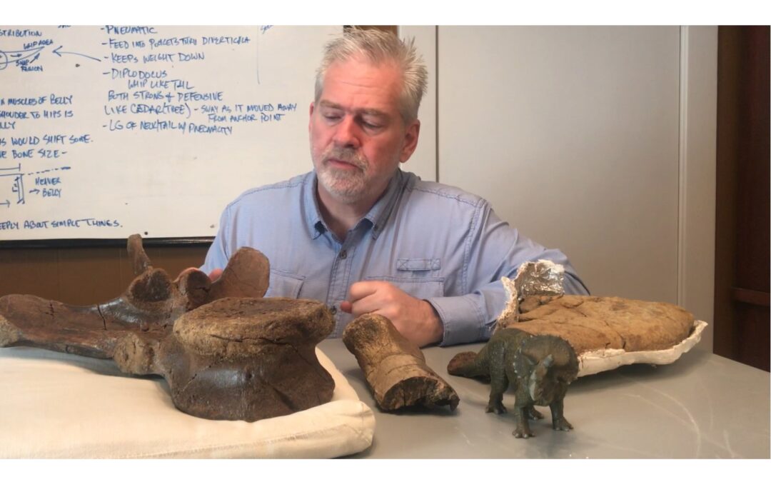 Summer 2020 Newsletter