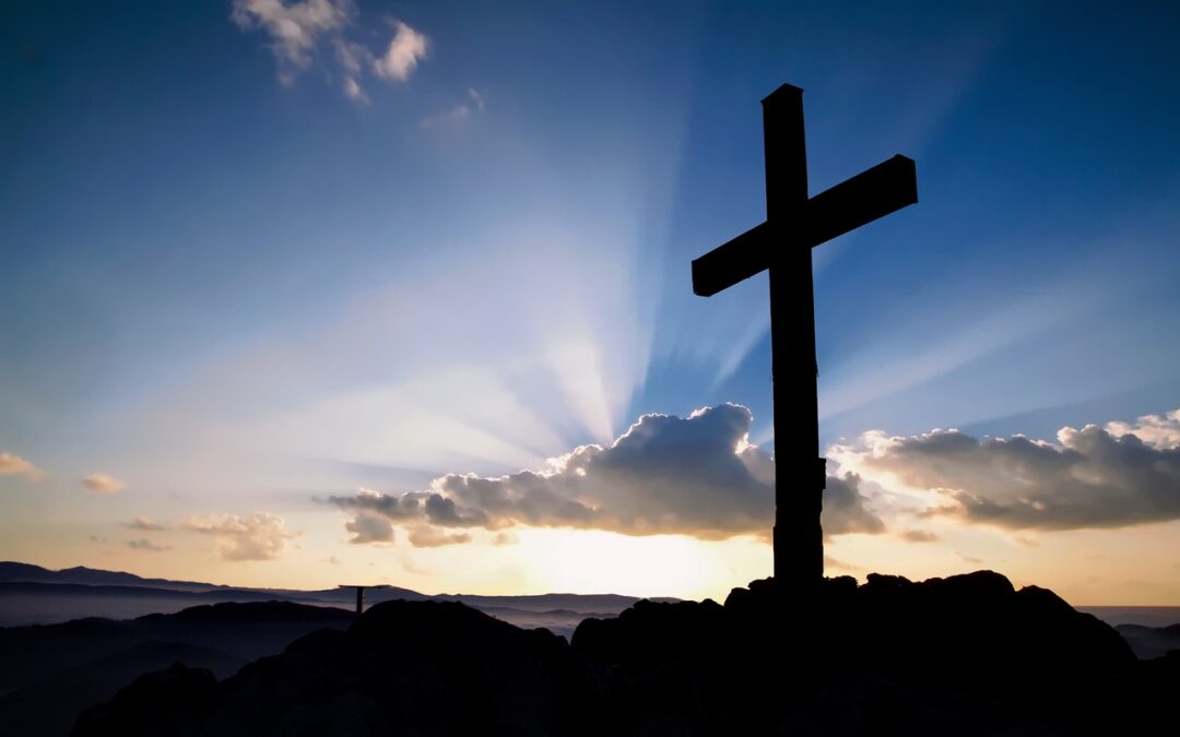 What is our True Purpose?