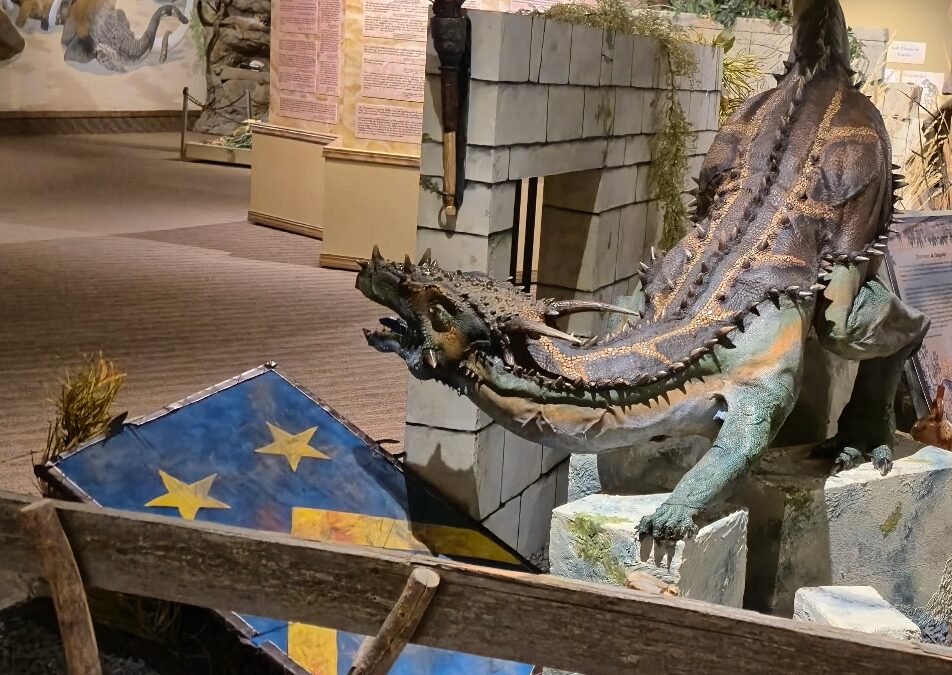 Stories: True or False?