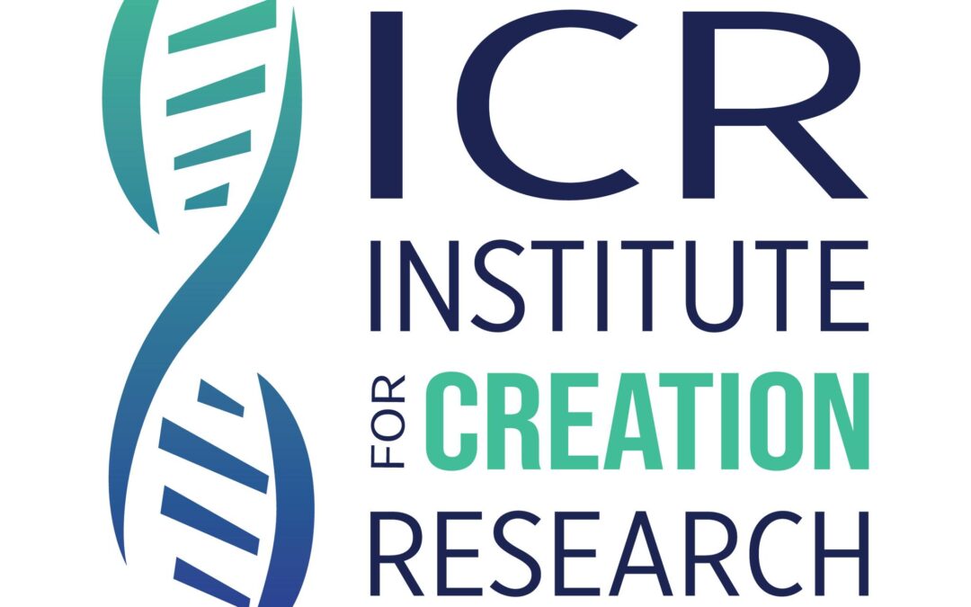 Newsletter Jan/Feb 2017