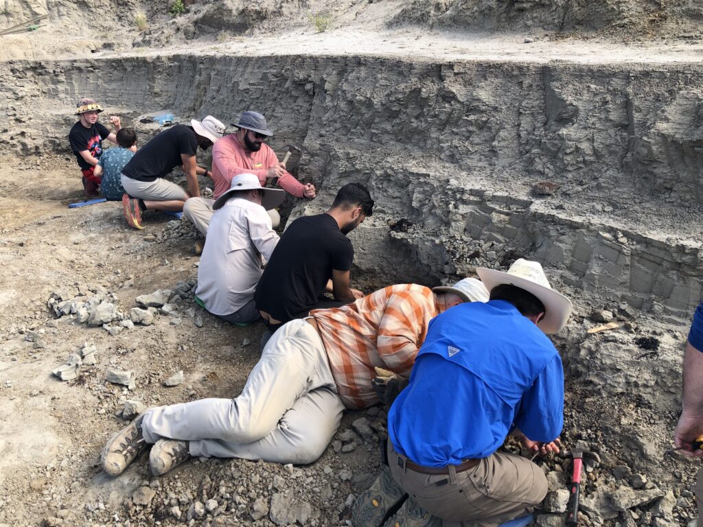 How is digging for fossils similar to playing hide and seek?