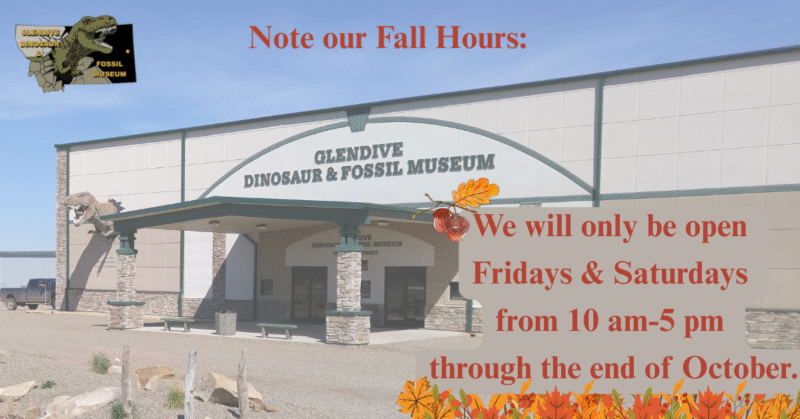 Fall Hours