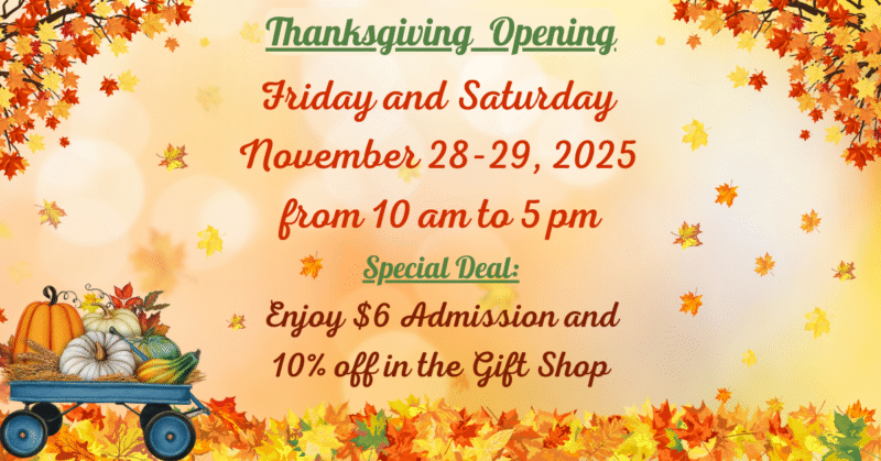 Thanksgiving opening 2025