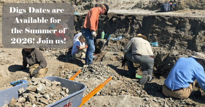 Dig Dates 2026 Promo (Facebook Ad)