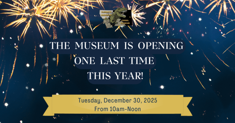 One last opening this year (Facebook Ad)