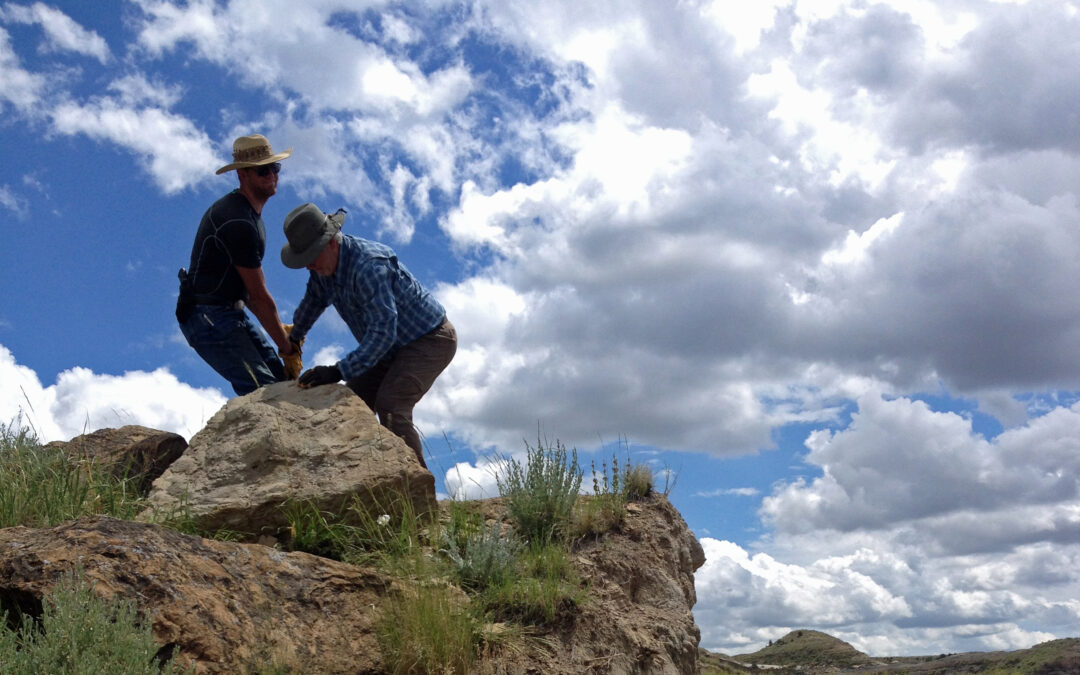 Merry Christmas 2020!