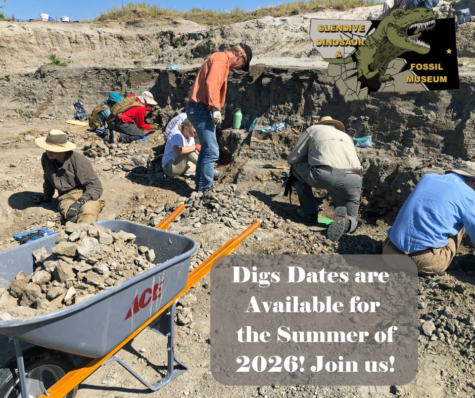 Dig Dates 2026 promo