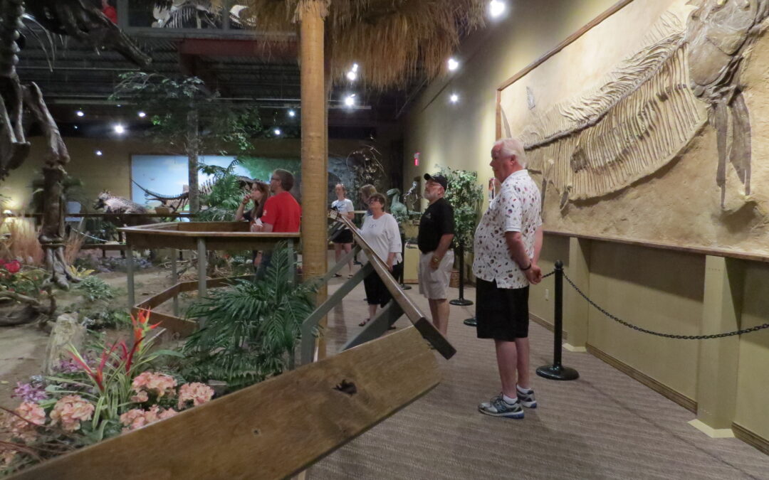 Christmas 2017 Newsletter