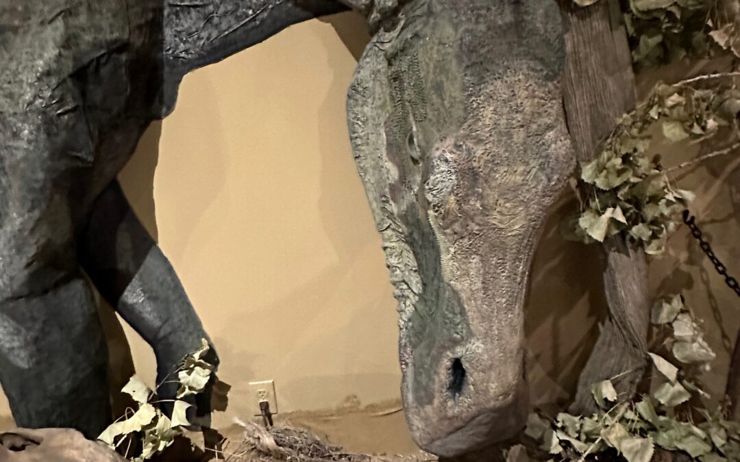 Newsletter March/April 2017