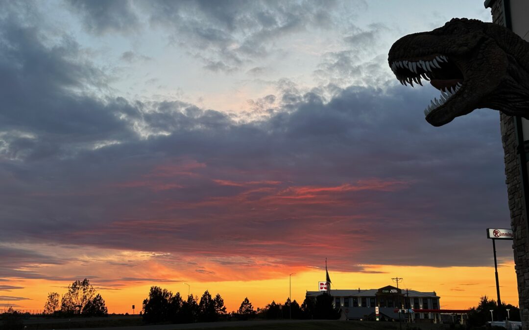 Fall 2020 Newsletter