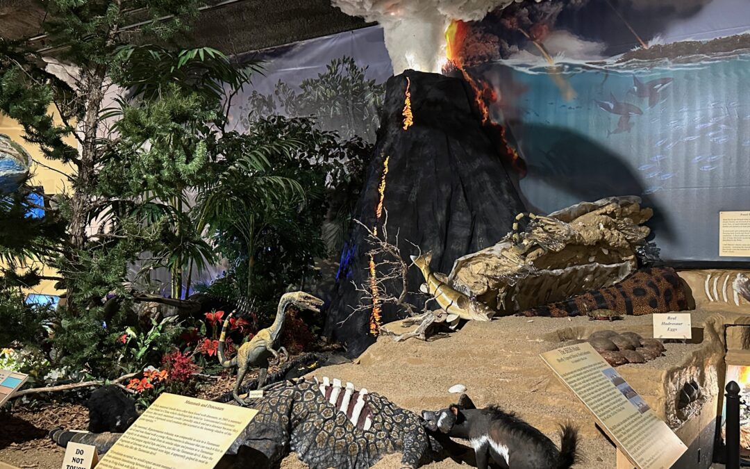 The Bible and the Fossil Record