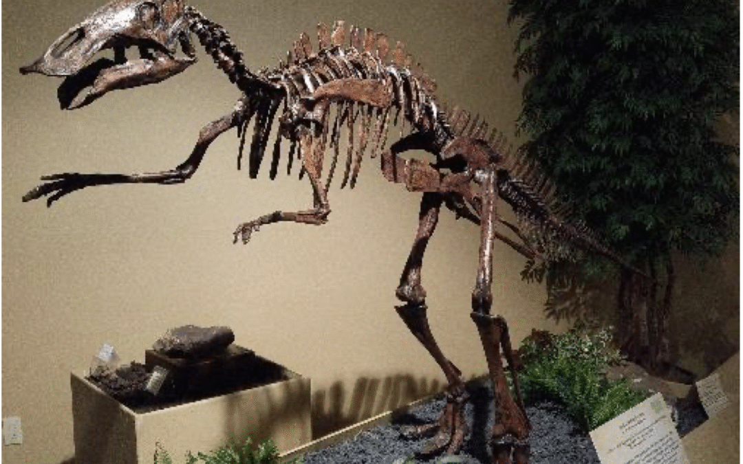 Newsletter May/June 2016