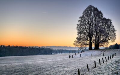 The Beauty of Winter