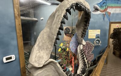 Monster of the Deep